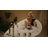67'' x 31'' Freestanding Whirlpool Plastic / Acrylic Bathtub with Faucet