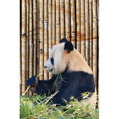 Panda - No Frame Print on Wood