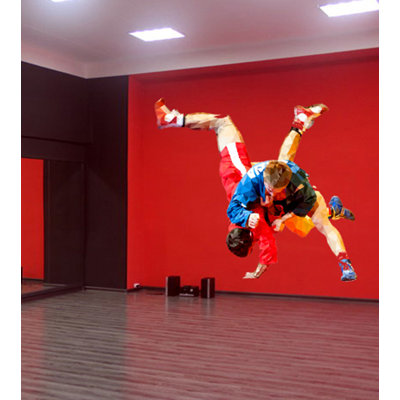 Sports Wall Decal