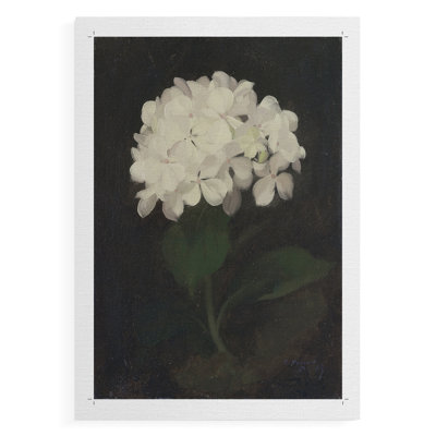 Imprimé floral rétro CCXC III - reproduction de toile seulement - non encadrée