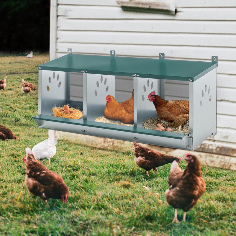 Boîte à œufs de poule en métal, 3 boîtes gigognes