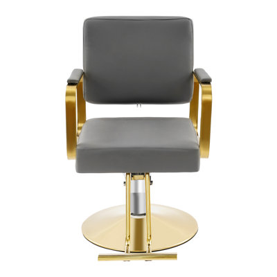 360° Rotating Adjustable Hair Salon Barber Chair by Latitude Run