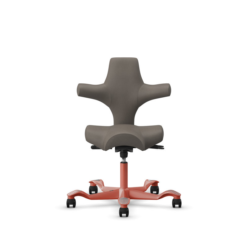Chaise à hauteur standard réglable HœG Capisco , Standard, Gris cendré , Blush Rose