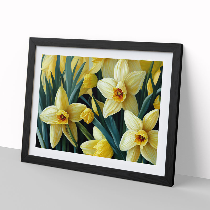Bewitching Daffodil Flowers - Single Picture Frame Print, Black Framed, 46cm H x 64cm W x 2cm D