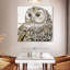 Brampt Beautiful Owls I-109087333