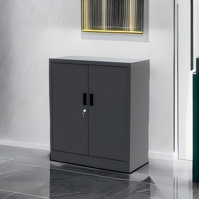 Metal Locking Cabinet With 2 Doors And 2 Adjustable Shelves,Office Steel Storage Cabinet For Office by Ivy Bronx