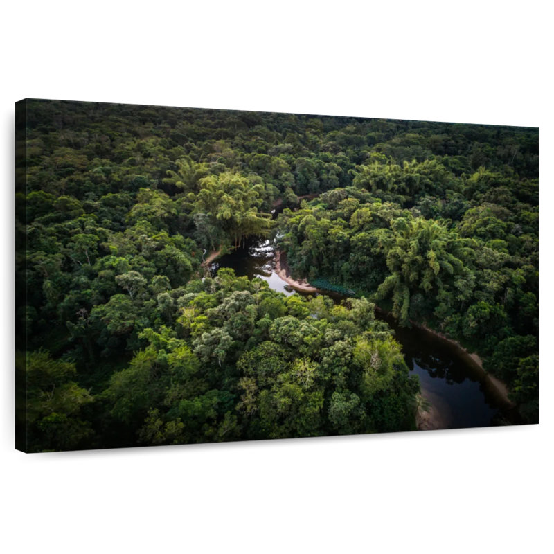 Atlantic Forest River, 20" H x 30" W