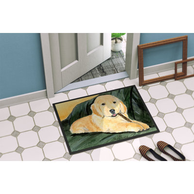 Non-Slip Outdoor Doormat