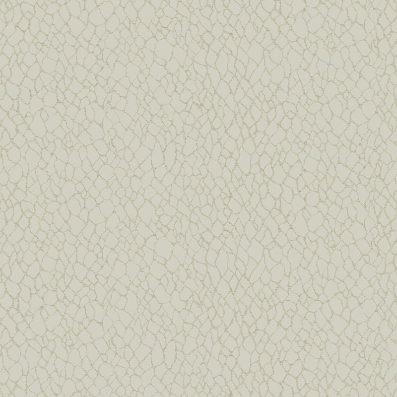 Boutique Metallic Webbing Wallpaper Roll, Cream