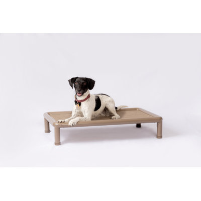 Cooling Elevated Dog Bed