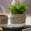 Rustic Modern Planter-1849192178