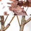 Eucalyptus artificiel en pot noir pour décoration de bureau personnel-415024162