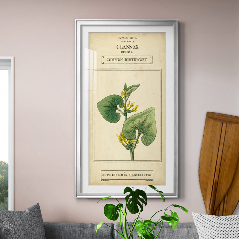 Linnaean Botany V - peinture sur toile encadrée, H 22,5 po x l 42,5 po x P 1,5 po, Argent