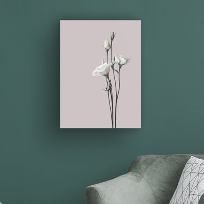 Flower 2 by Design Fabrikken - Wrapped Canvas Photograph -  Ebern Designs, 553C93E62A6843329ABF03A9C2795E9D