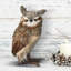 Figurine Heinrick