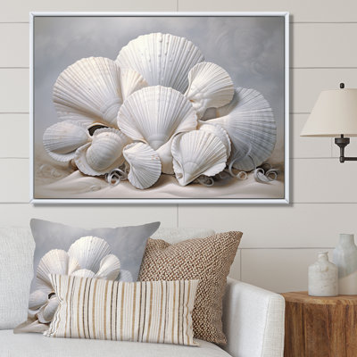 Coquillages blancs monochromes