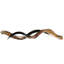 Polished Kudu Horn Pair-1132653309