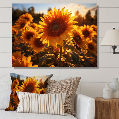 Tournesols orange et tournesols éclairés II