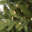 4Ft Pre Lit Potted Natural Cut Blue Spruce With 100 Lights And 605 Branch Tips