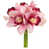 Rose sélectionné