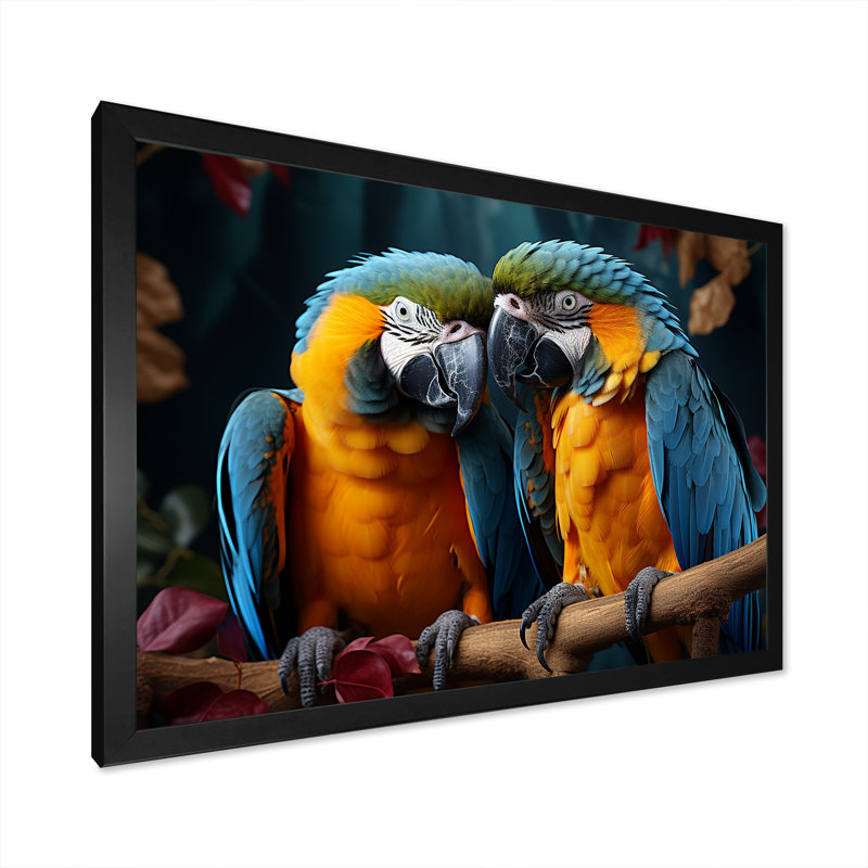 Parrots Vivid Conversations I, Cadre photo noir simple, H 34 po x l 44 po x P 1,5 po