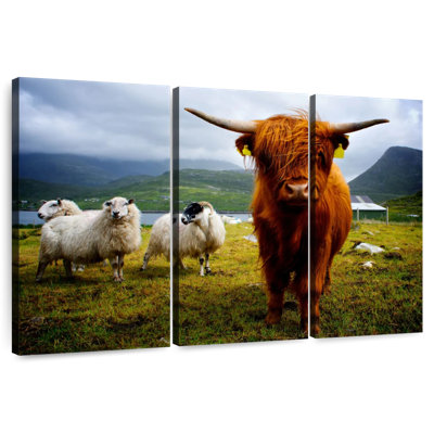 Highland Cow And Friends
