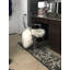 Fauteuil empilable Malkiat Queen Anne