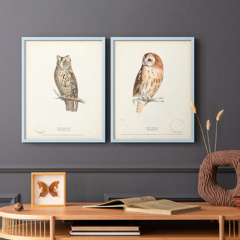 Scops Eared Owl - reproduction encadrée de qualité supérieure - prête à être accrochée - aucun clou requis - aucun clou requis