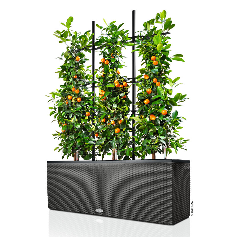 Trio Planter Box, 34cm H x 100cm W x 32cm D, Granite