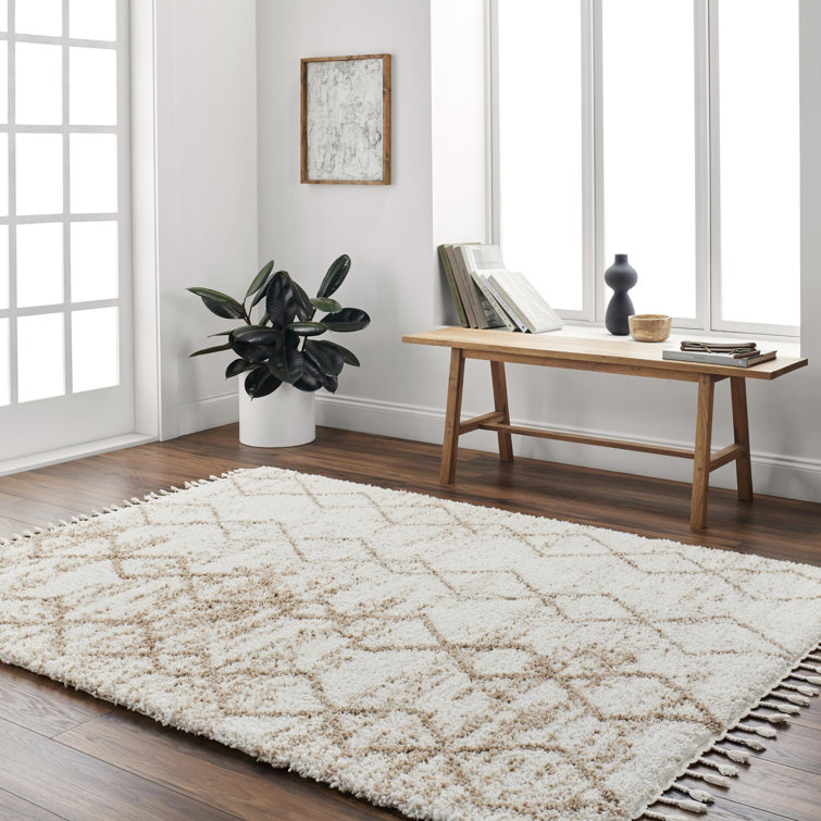 Geometric Indoor Rug