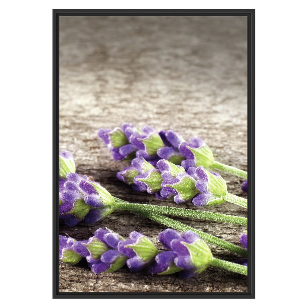 Gerahmtes Wandbild Lavendel auf Holz