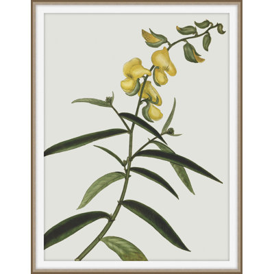 Inviting Bounties 4 Print