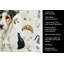 Serviette de cuisine Coffee Bar-1234933853