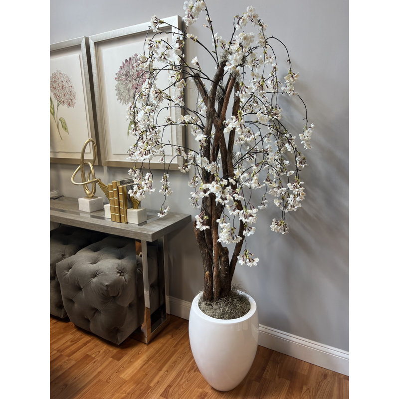 5.75' Organic Modern Cherry Blossom Tree with Real Dragon Wood