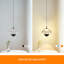 1 - Light Black LED Dome Pendant