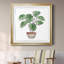 Boho Greenery II - peinture encadrée-171494725-171494726