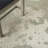 Indoor Rug-791217571