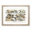 Illustration of Hounds by Henry Alken - Picture Frame Painting Print-55579803-55579802