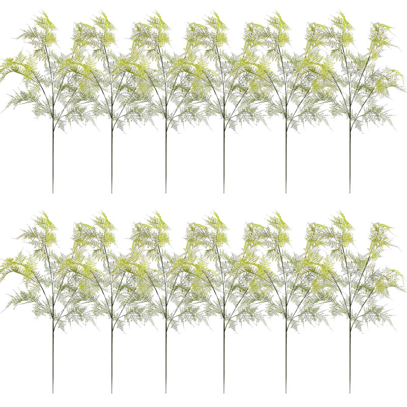 Branche d'asperge Sewell