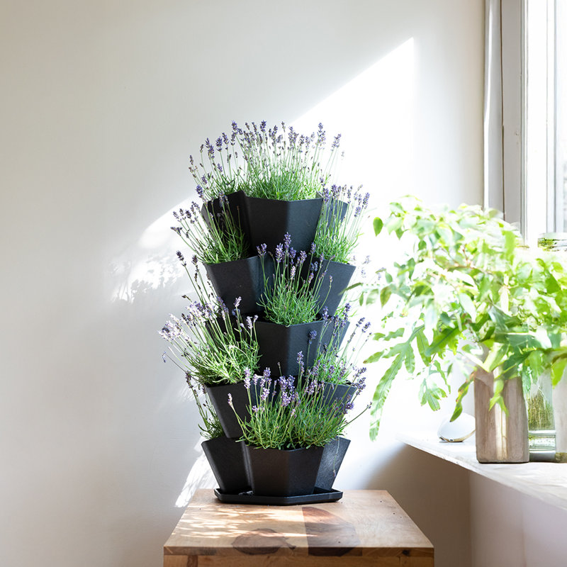 5 Tier Recycled Plastic Stackable Garden Planter