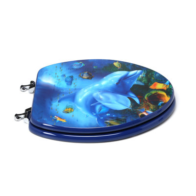 Elongated Toilet Seat and Lid