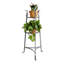 Premier Multi-Tiered Plant Stand-2428317