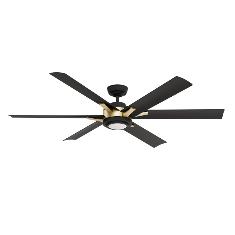 Casablanca 65 inch Melia ENERGY STAR®  Damp Rated Ceiling Fan with Lights and Wall Control, Black/Gold