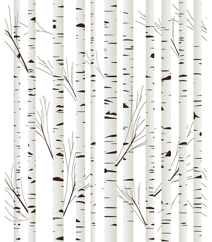 Casilda Matte Peel and Stick Mural, 360 x 250cm