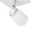 Lavine LED Spotlight