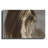 " Amante " by Lisa Dearing-597543448