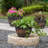 Evry Pot Planter-2122101805
