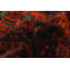 Tapis corail noir Teimani 3 pi 6 po x 6 pi 2 po