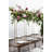Plant Stand-247996300