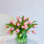 Tulipes en vase-2064794667